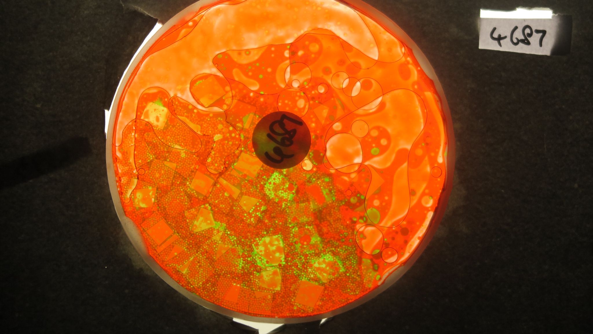 Bubble Vision analogue projection oil wheels effects and lightshows