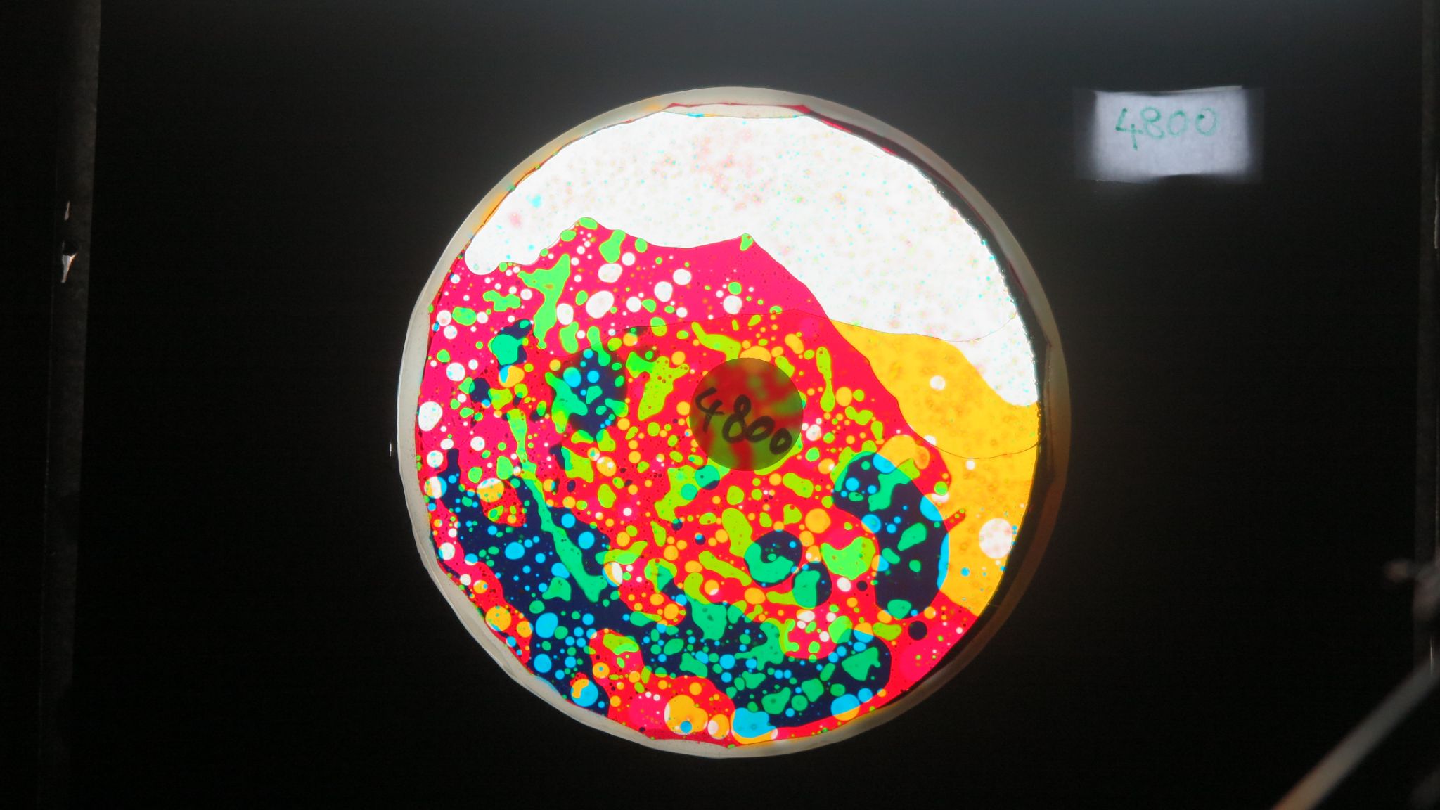Bubble Vision analogue projection oil wheels effects and lightshows