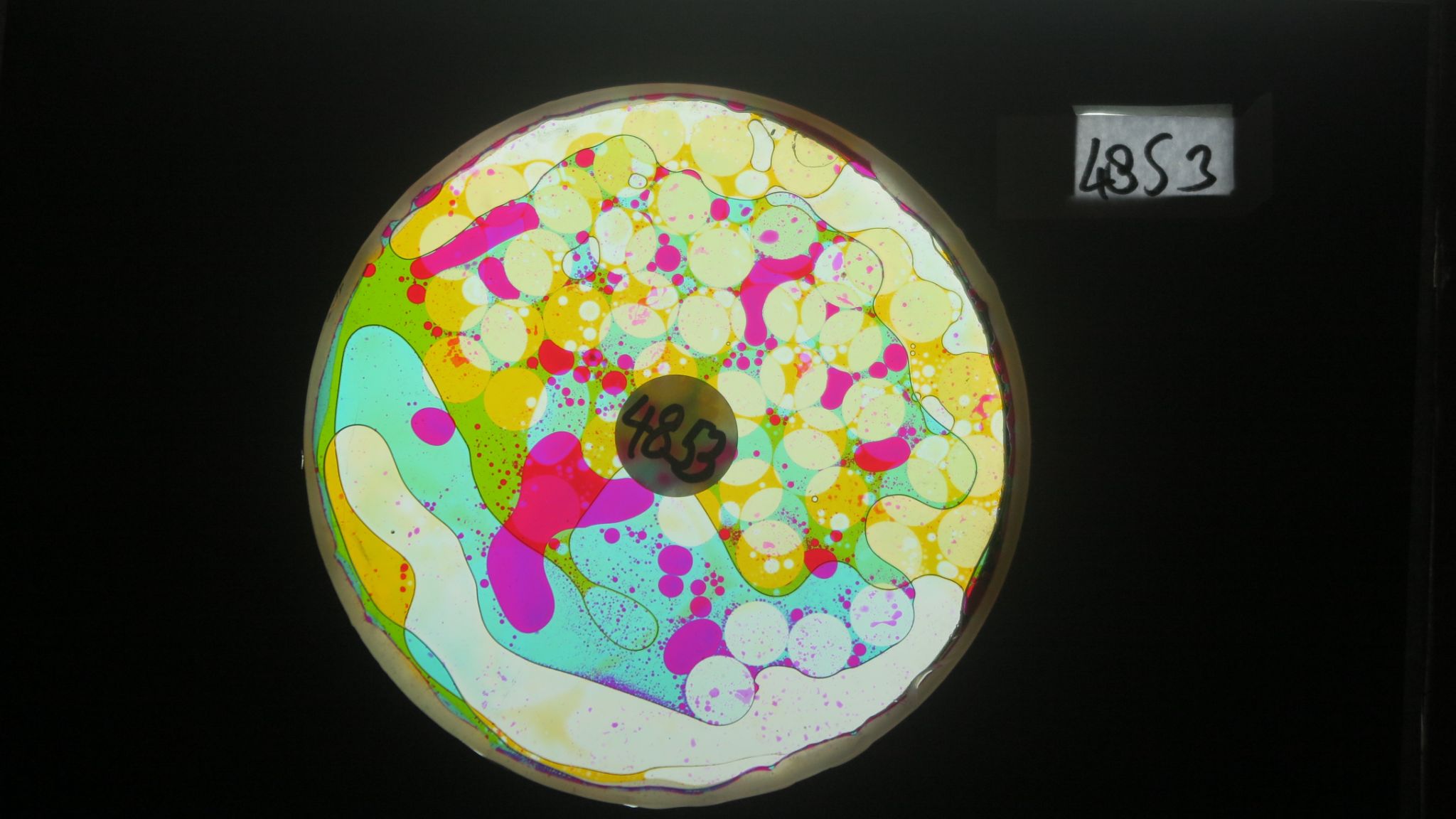 Bubble Vision analogue projection oil wheels effects and lightshows