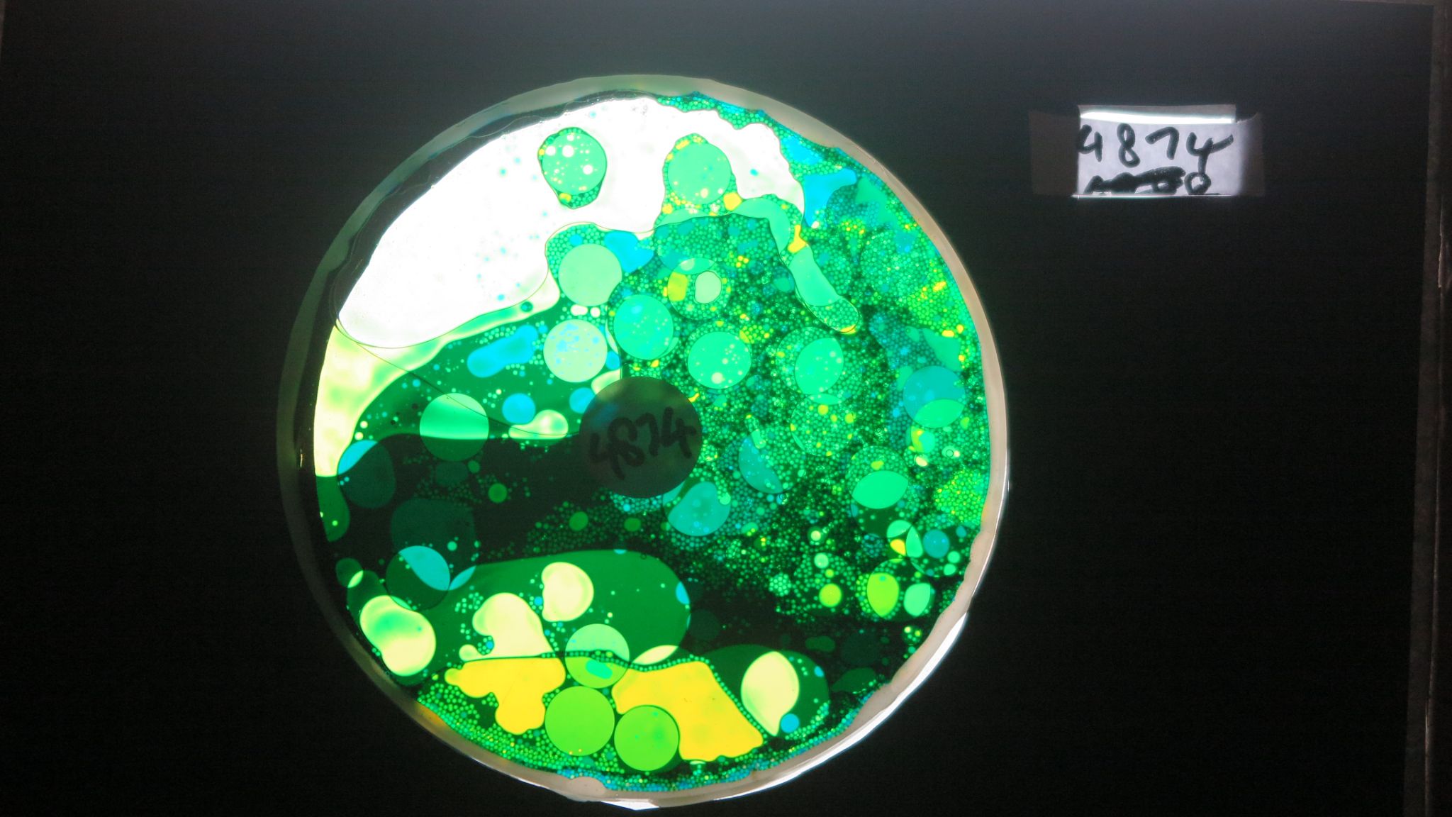 Bubble Vision analogue projection oil wheels effects and lightshows