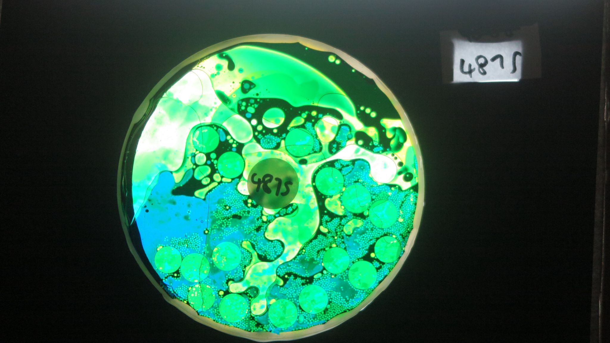 Bubble Vision analogue projection oil wheels effects and lightshows