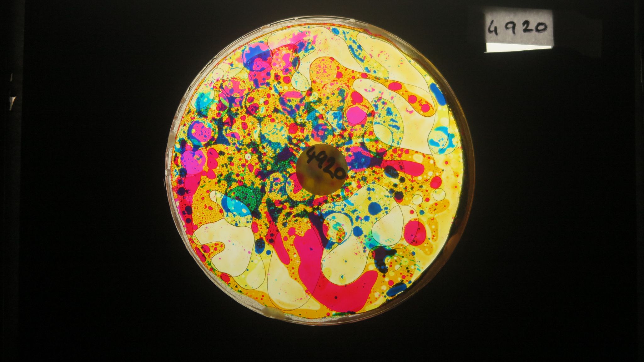Bubble Vision analogue projection oil wheels effects and lightshows