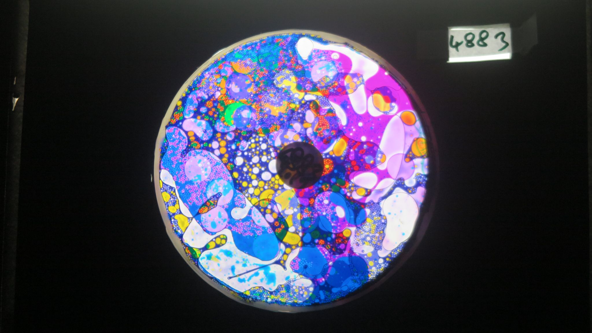 Bubble Vision analogue projection oil wheels effects and lightshows