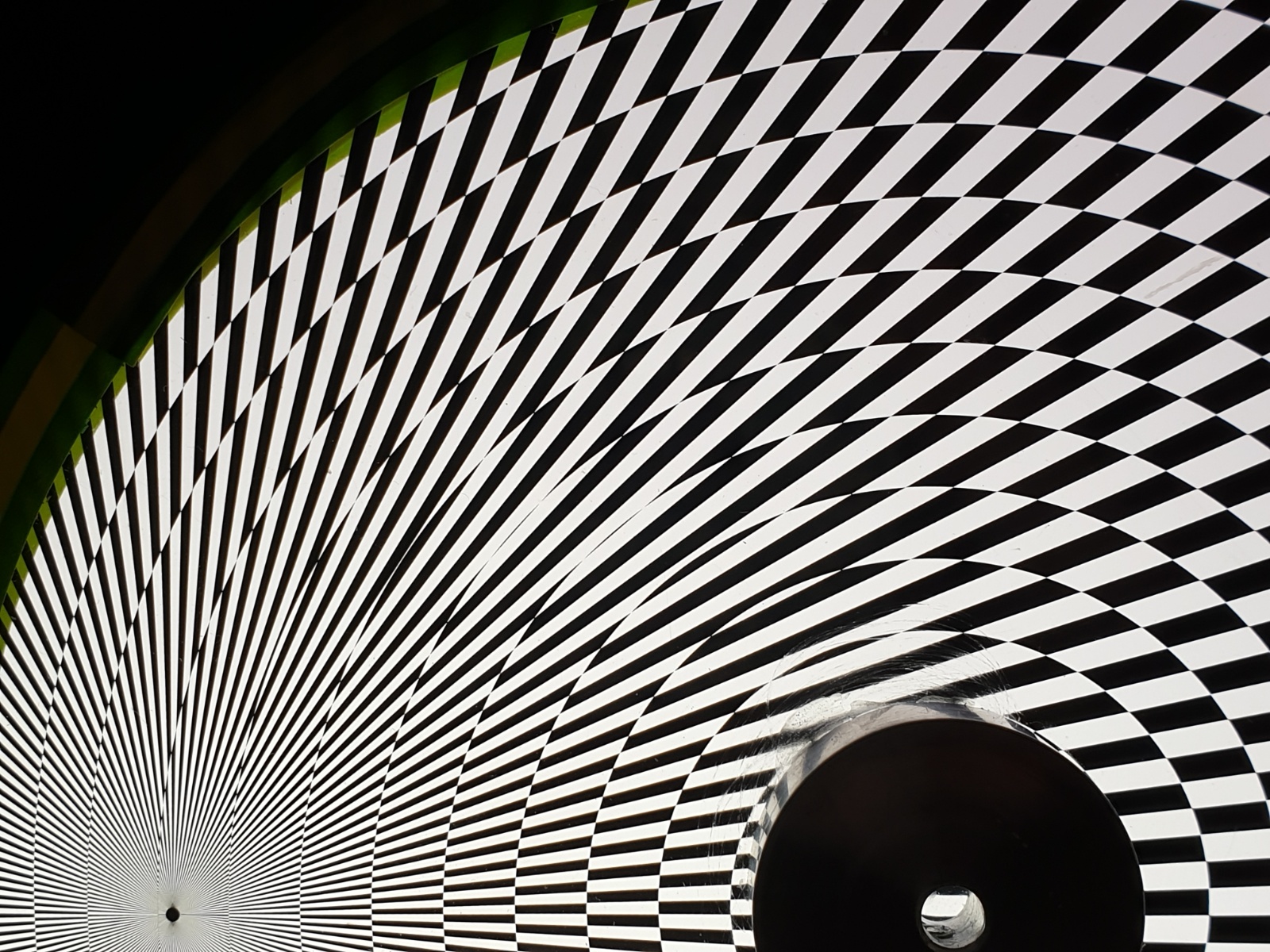 Printed 6 Inch Wheels