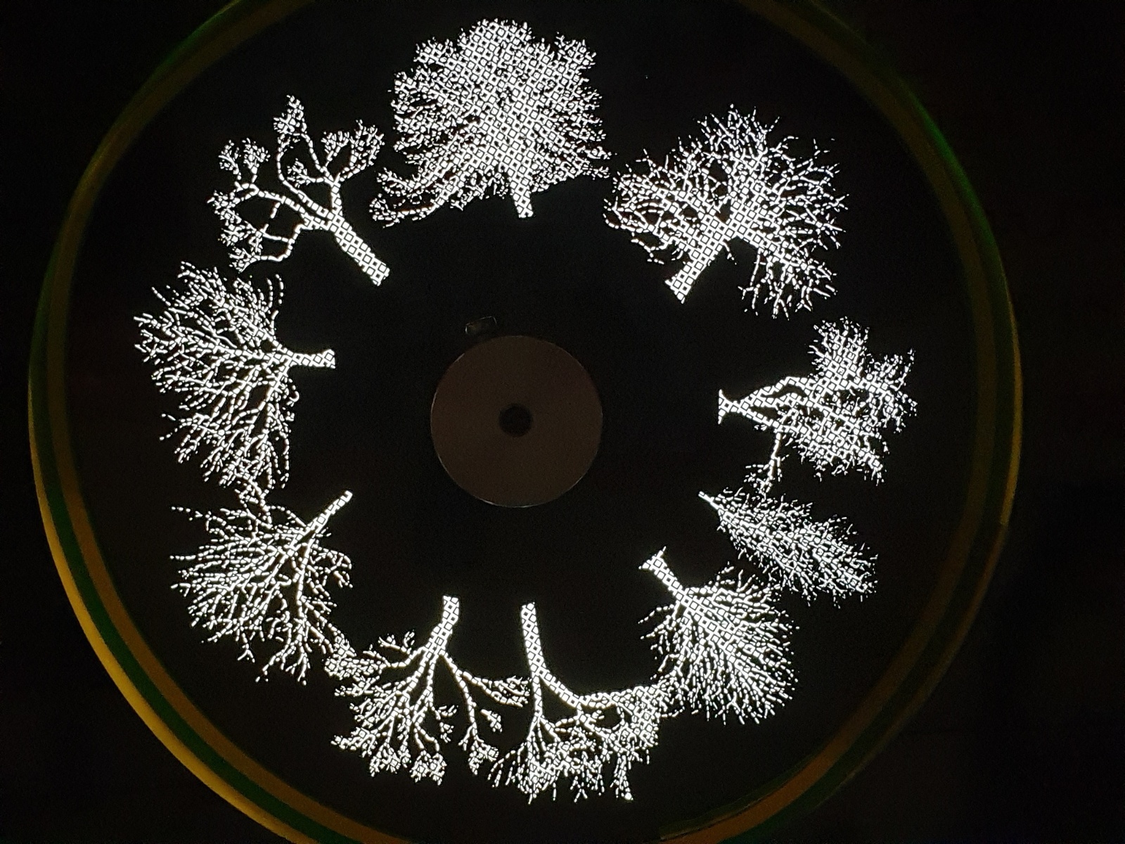 Thousand Square Trees